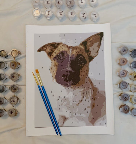 Personalized PAINT BY NUMBERS